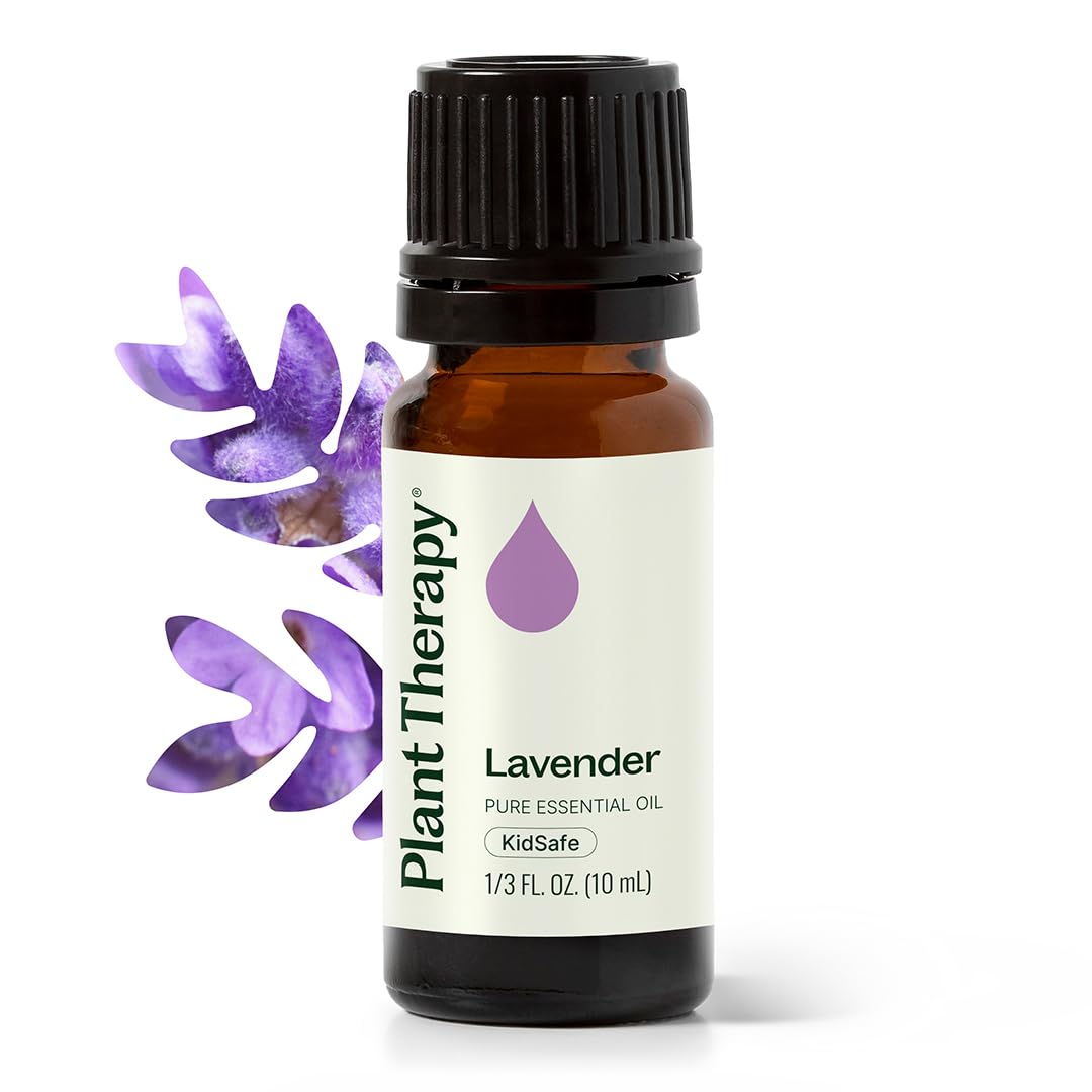 Huile Plant Therapy Lavande dans une bouteille de 10 ml prête à diffuser.