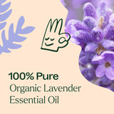 Plant Therapy Lavande diffuseur ambiance calme: crée une atmosphère sereine à la maison.