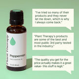 Massage menthe poivrée Plant Therapy, sensation rafraîchissante et apaisante.