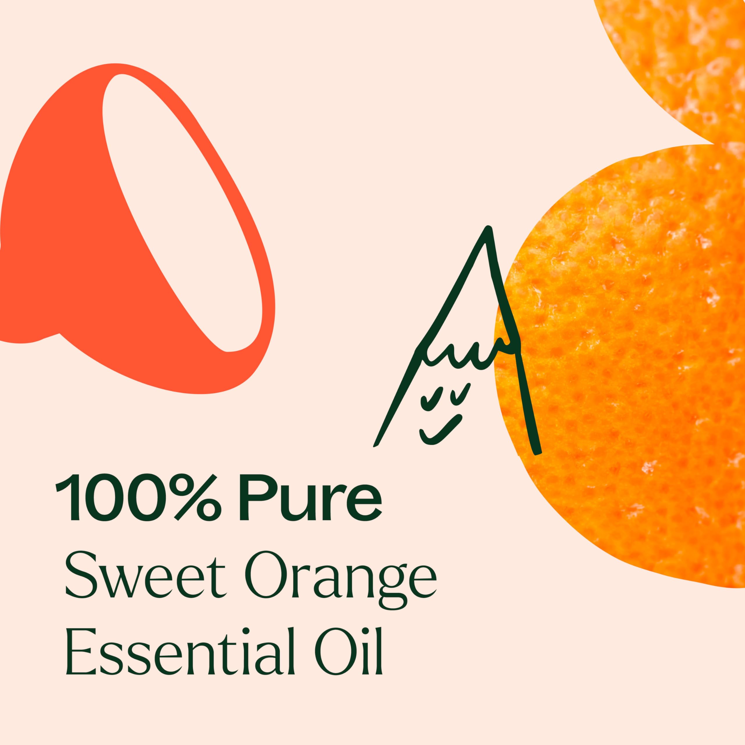 Plant Therapy Sweet Orange – mélanges avec bergamote et girofle pour arôme profond