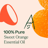Plant Therapy Sweet Orange – mélanges avec bergamote et girofle pour arôme profond