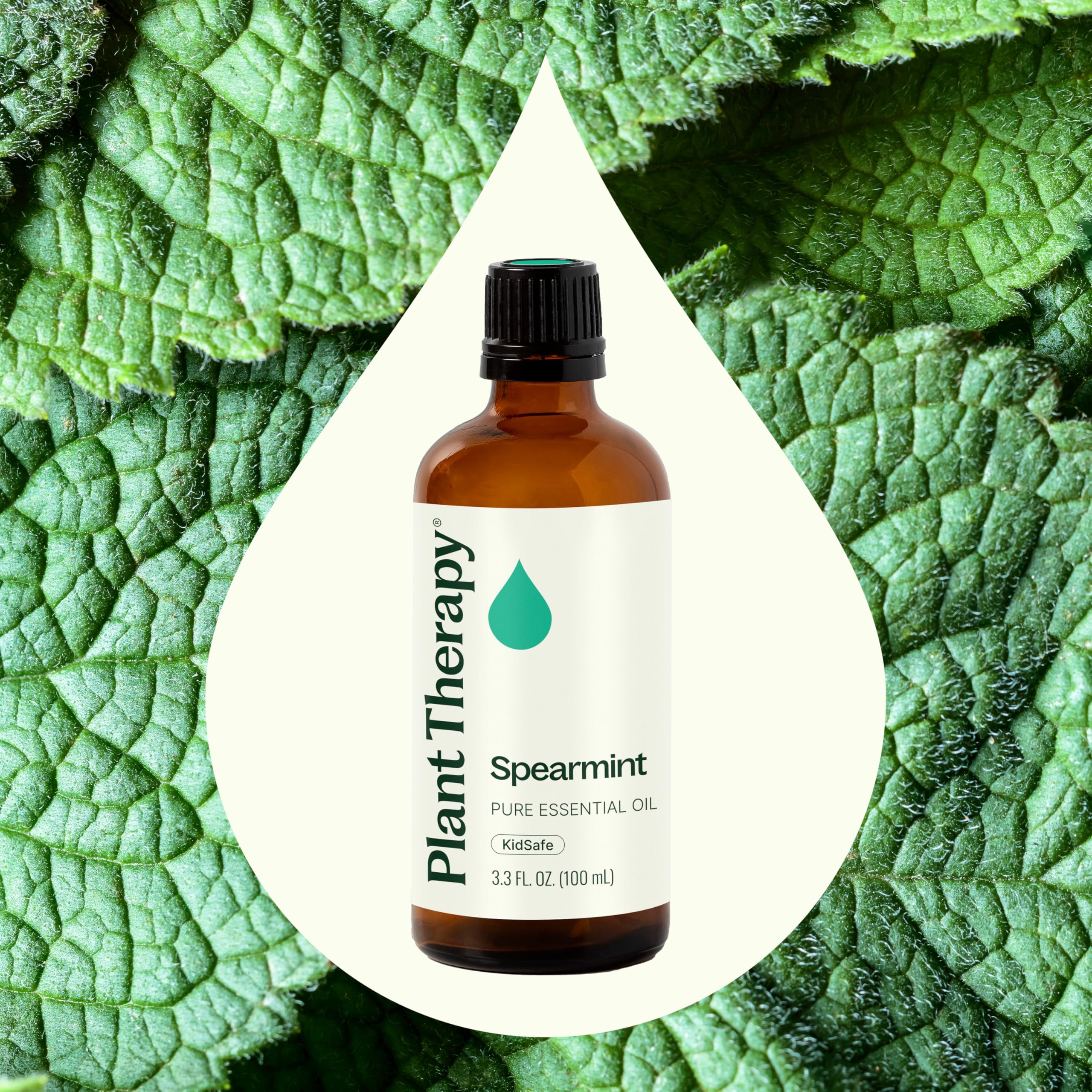 Plant Therapy Menthe Douce – diffuseur, arôme frais pour une ambiance apaisante.