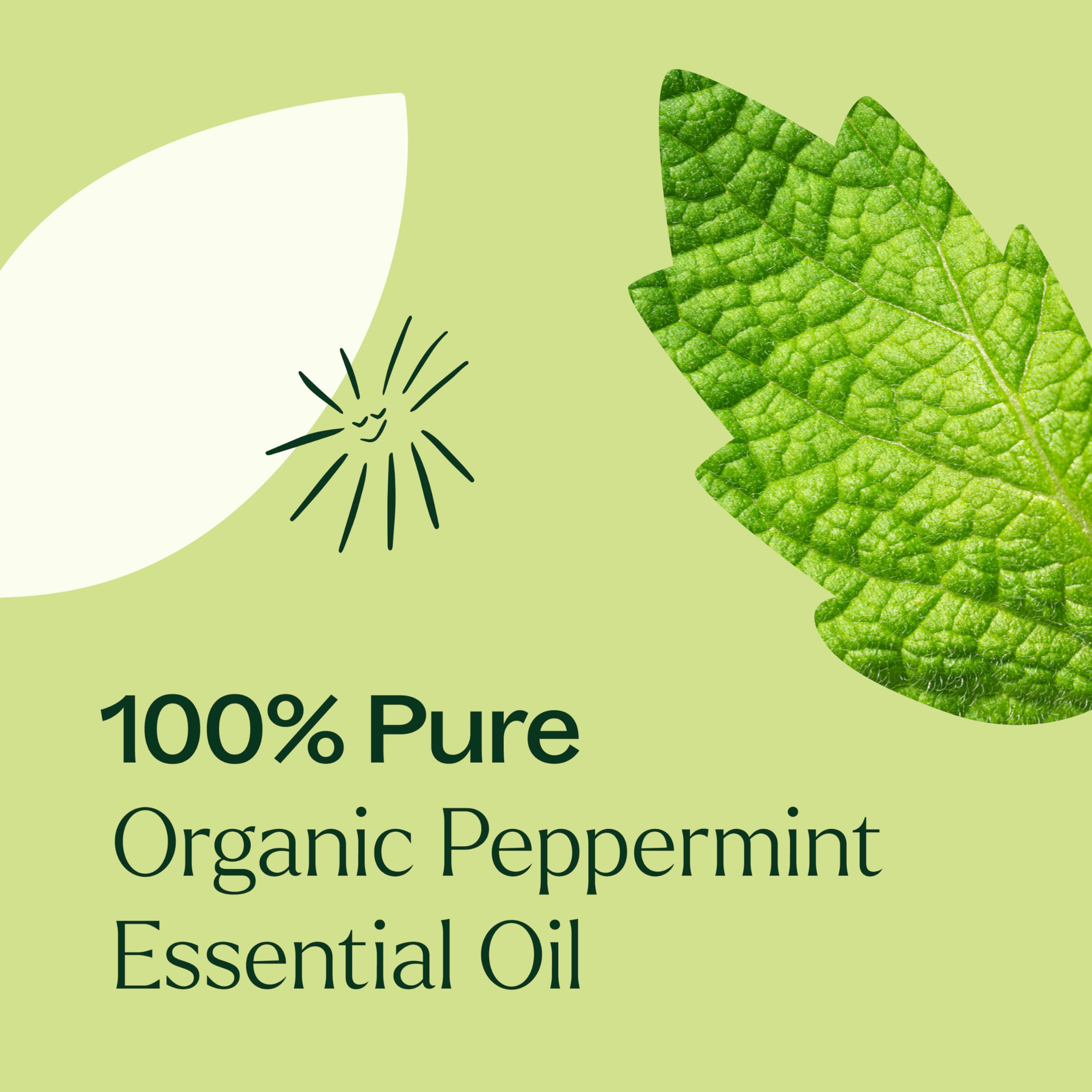 Mélange d'huiles Plant Therapy menthe poivree pour soins maison