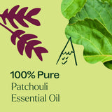 Plant Therapy Patchouli – étiquette claire et instruction facile pour un usage sûr.