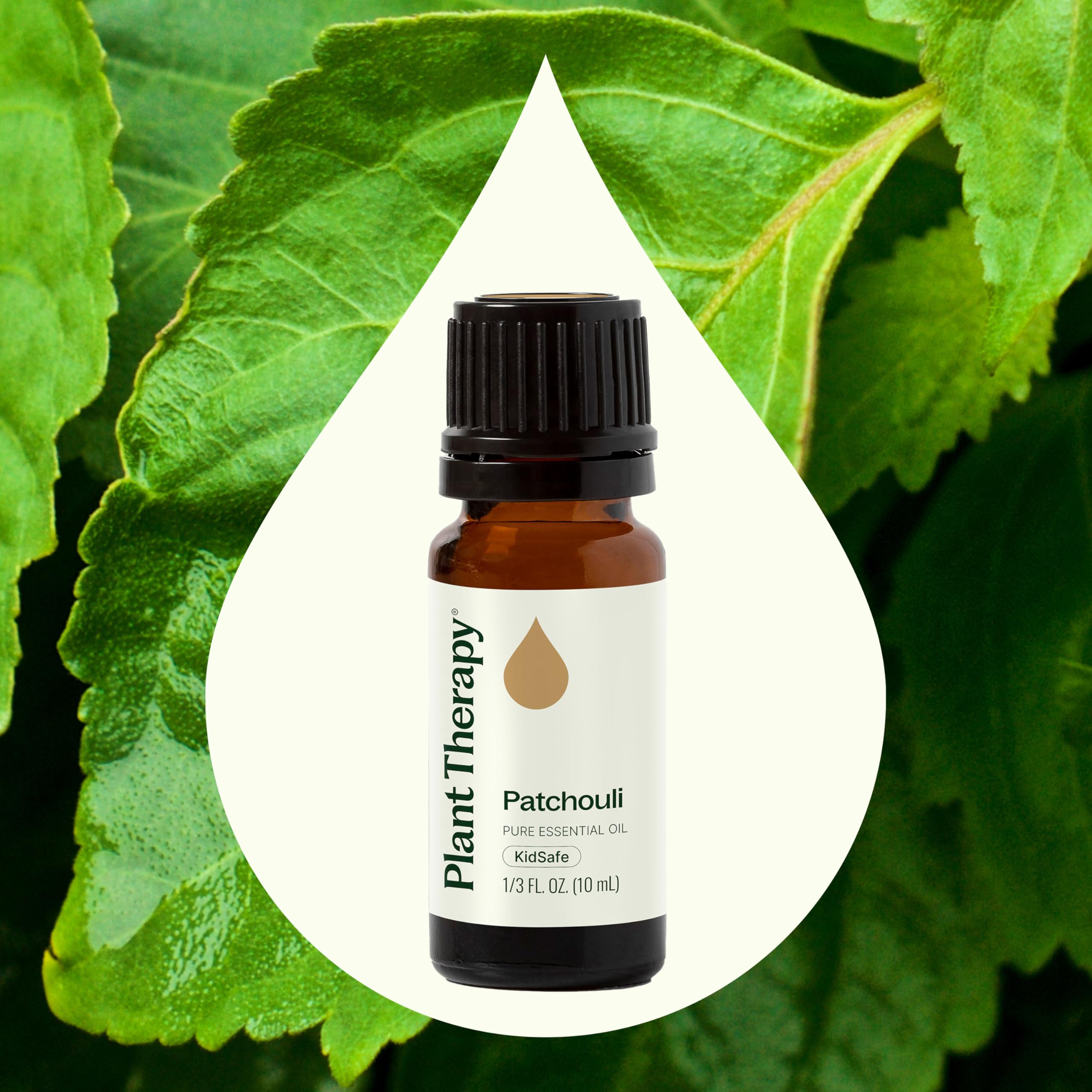 Plant Therapy Patchouli – arôme terreux et chaleureux, parfait pour une ambiance zen.