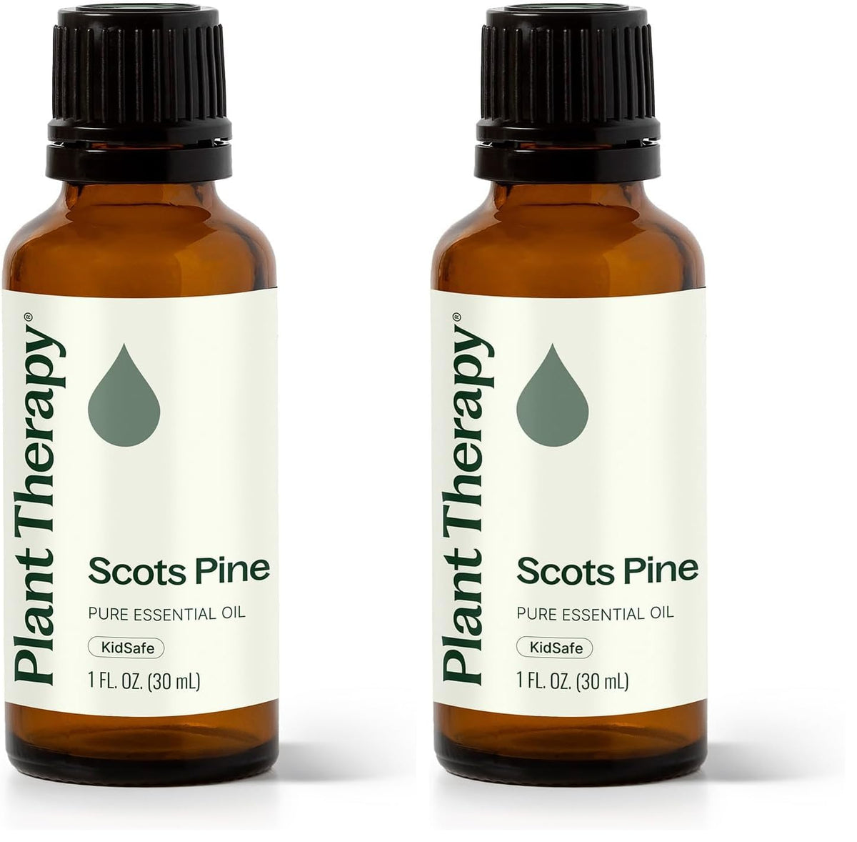Plant Therapy Pin Sylvestre 30 ml, bouteille prête à l’utilisation et respiration facilitée