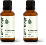 Plant Therapy Pin Sylvestre 30 ml, bouteille prête à l’utilisation et respiration facilitée