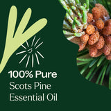 Diffuseur aromatique avec Pin Sylvestre Plant Therapy, ambiance boisée