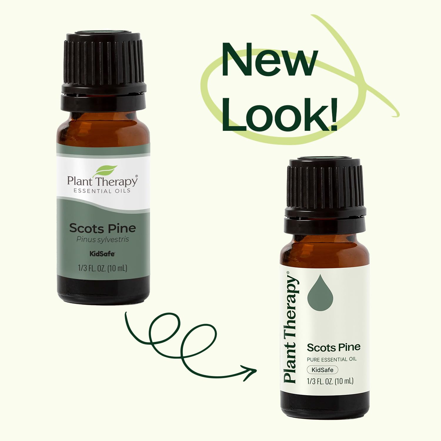 Diffusion Pin Sylvestre Plant Therapy créant une atmosphère forestière