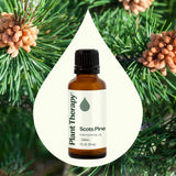 Pack deux bouteilles Pin Sylvestre Plant Therapy, option économique