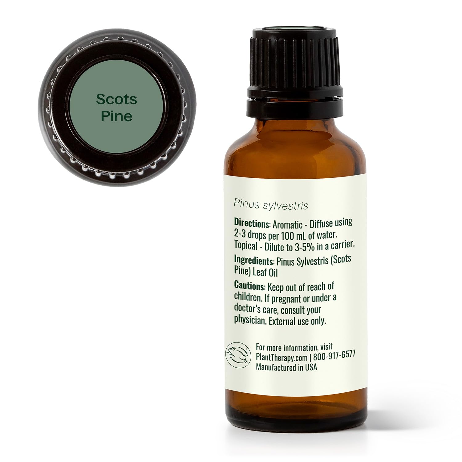 Ruban et disposition Pin Sylvestre Plant Therapy pour routine bien‑etre