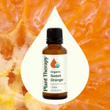 Plant Therapy Sweet Orange, rapport GC-MS individuel, garantissant traçabilité et tests indépendants.