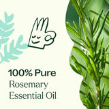 Plant Therapy romarin diffusion ambiance, parfum boisé et vivifiant.