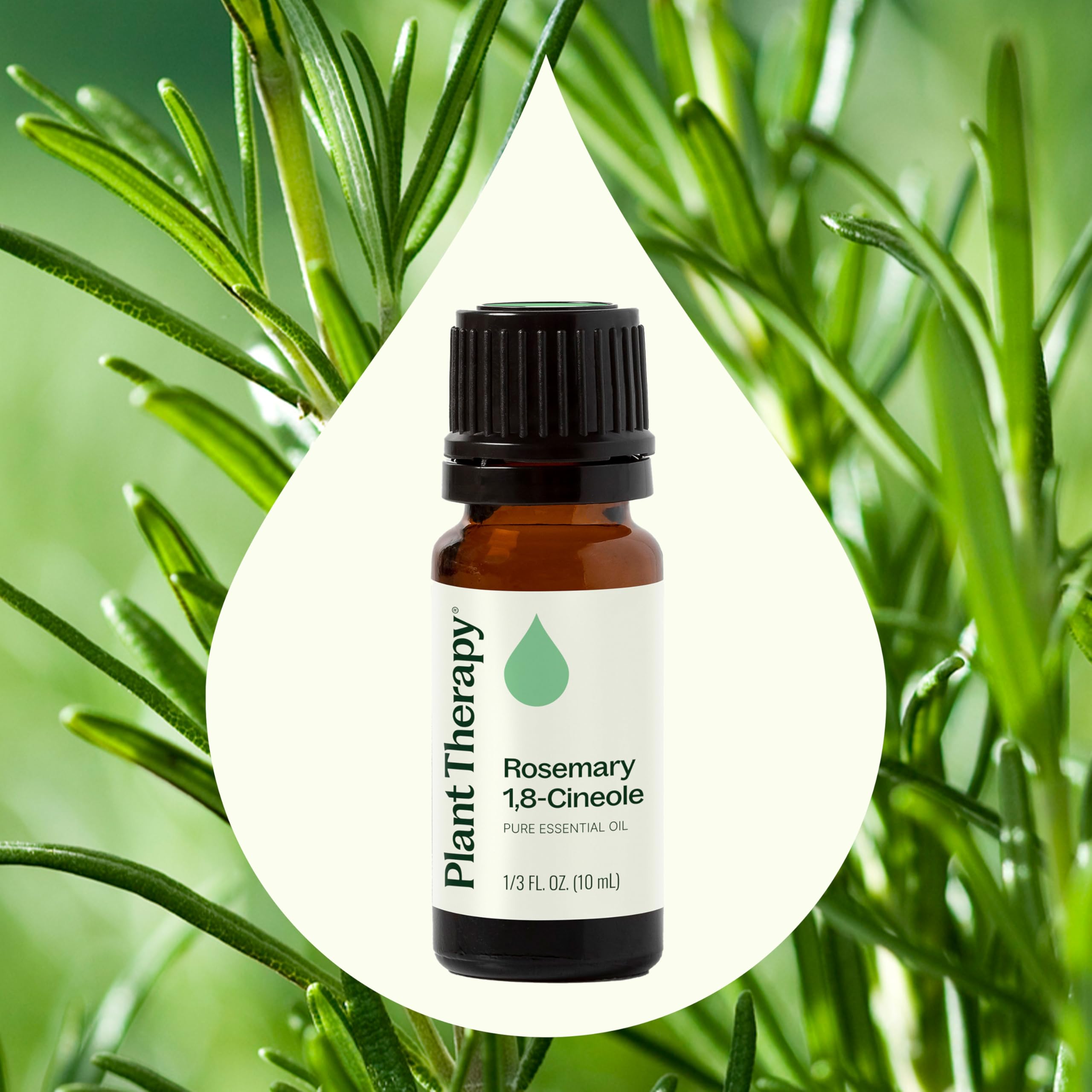 Plant Therapy romarin massage cuir chevelu, démonstration d’application capillaire.