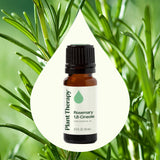 Plant Therapy romarin massage cuir chevelu, démonstration d’application capillaire.