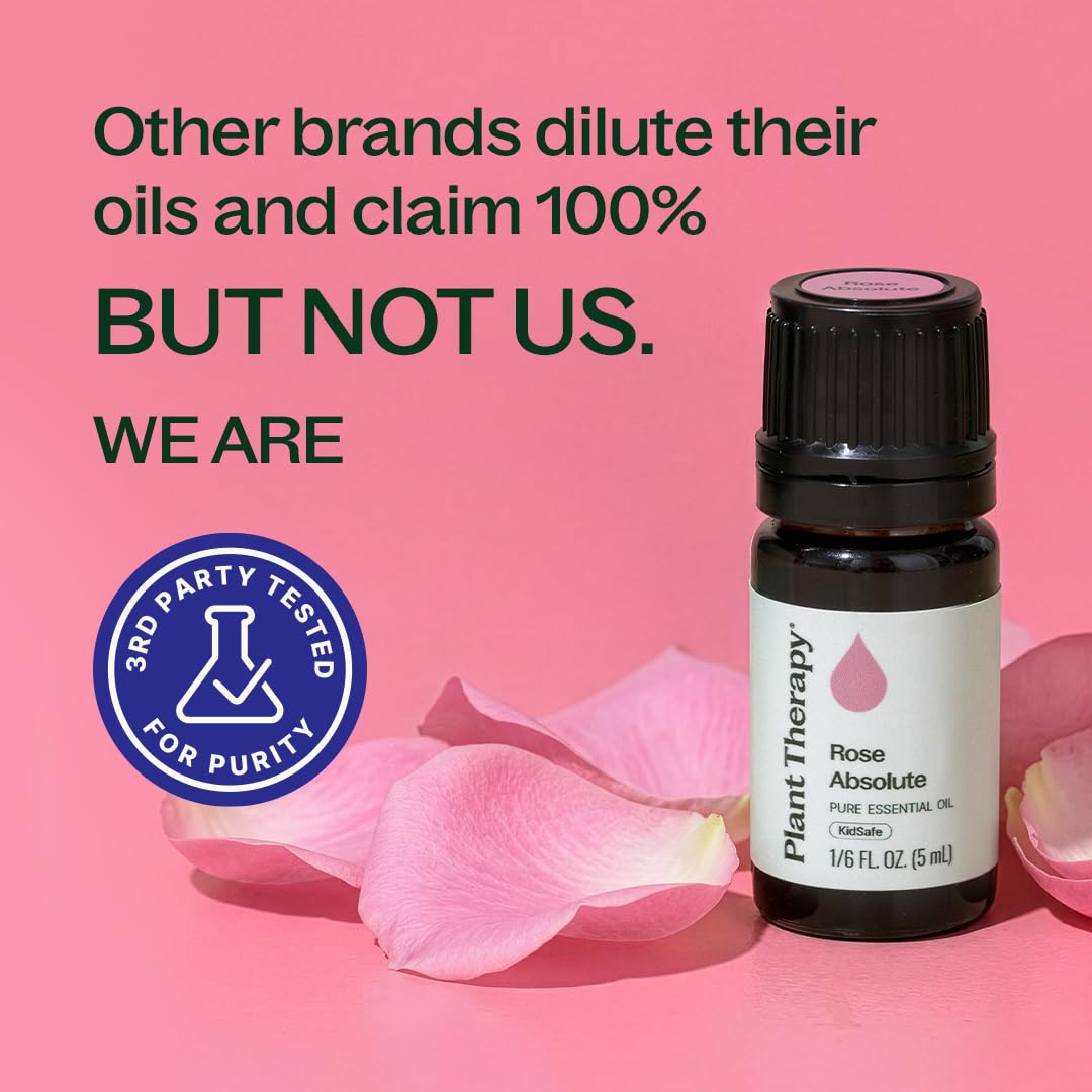 Arôme doux Rose Absolute Plant Therapy, idéal pour le sommeil.