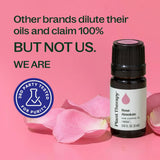 Arôme doux Rose Absolute Plant Therapy, idéal pour le sommeil.