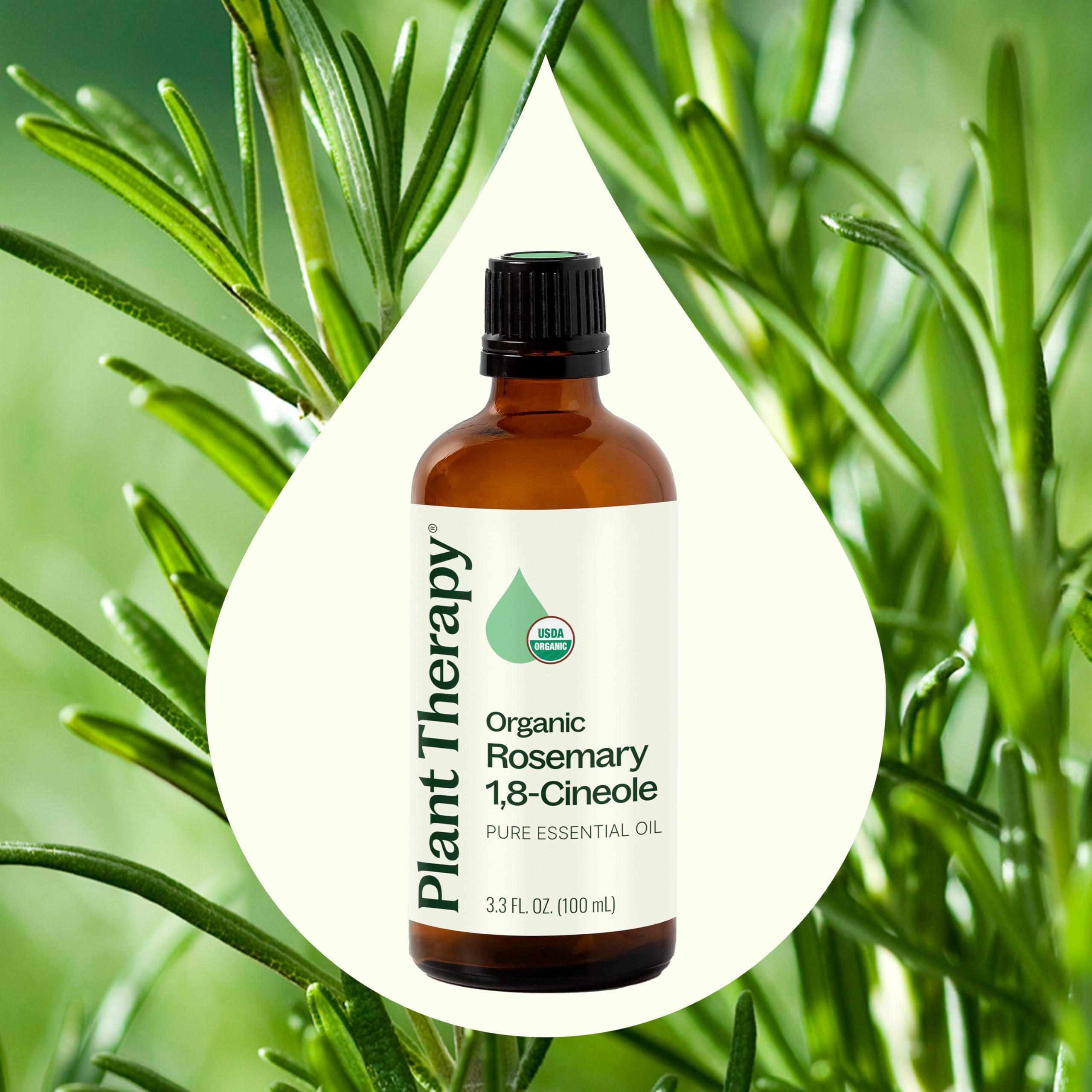 Application sur cheveux avec romarin Plant Therapy dans un mélange soin maison.