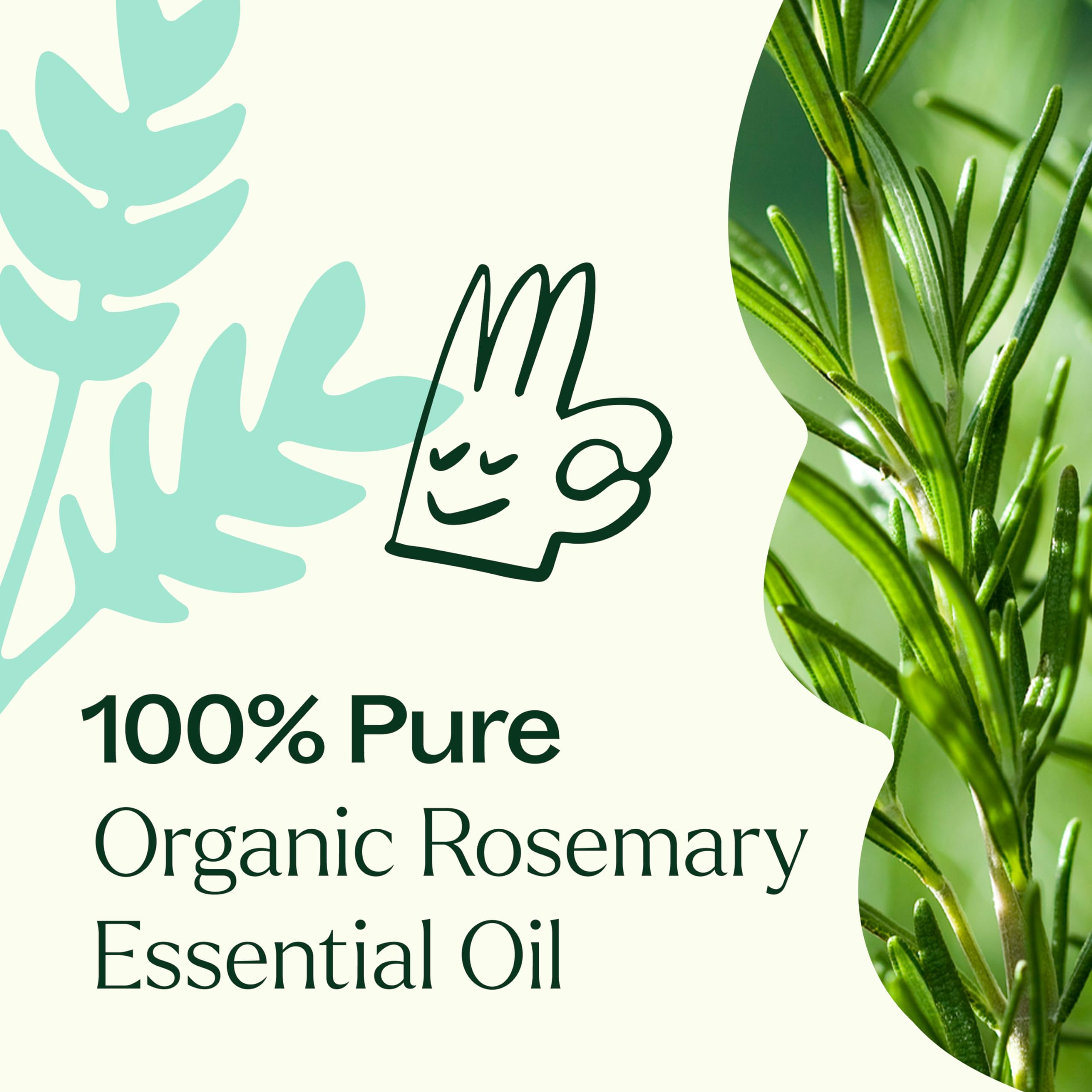 Lot GC-MS de romarin Plant Therapy montrant les contrôles qualité.