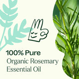 Lot GC-MS de romarin Plant Therapy montrant les contrôles qualité.