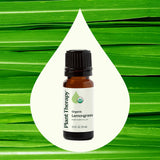 Soin peau citronnelle Plant Therapy, huile diluée pour nourrir et revitaliser la peau.