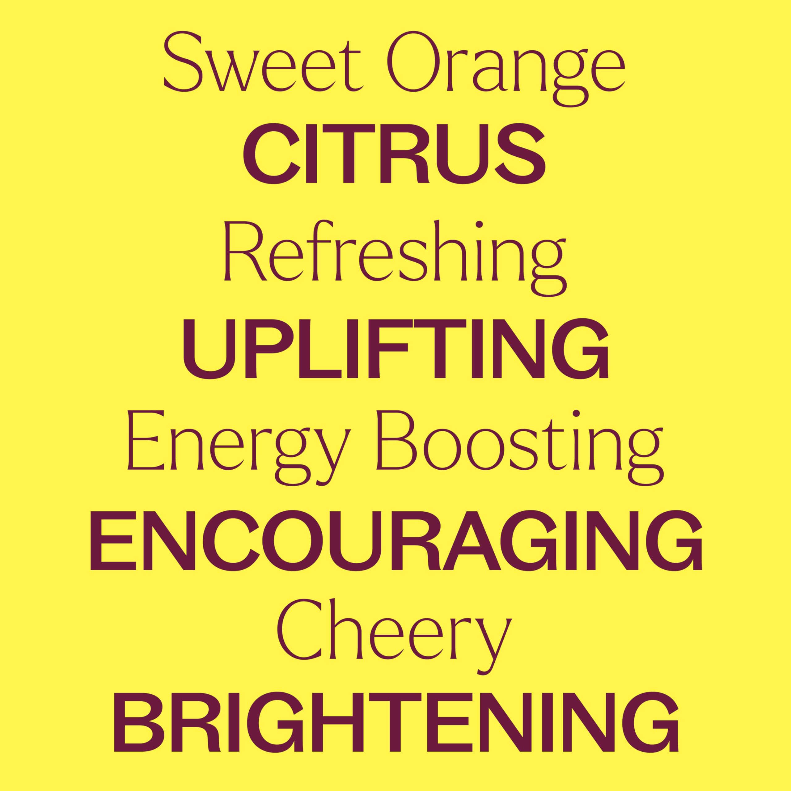 Plant Therapy Sweet Orange – soin visage dilué à 1% pour peau équilibrée