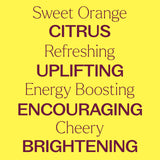 Plant Therapy Sweet Orange – soin visage dilué à 1% pour peau équilibrée