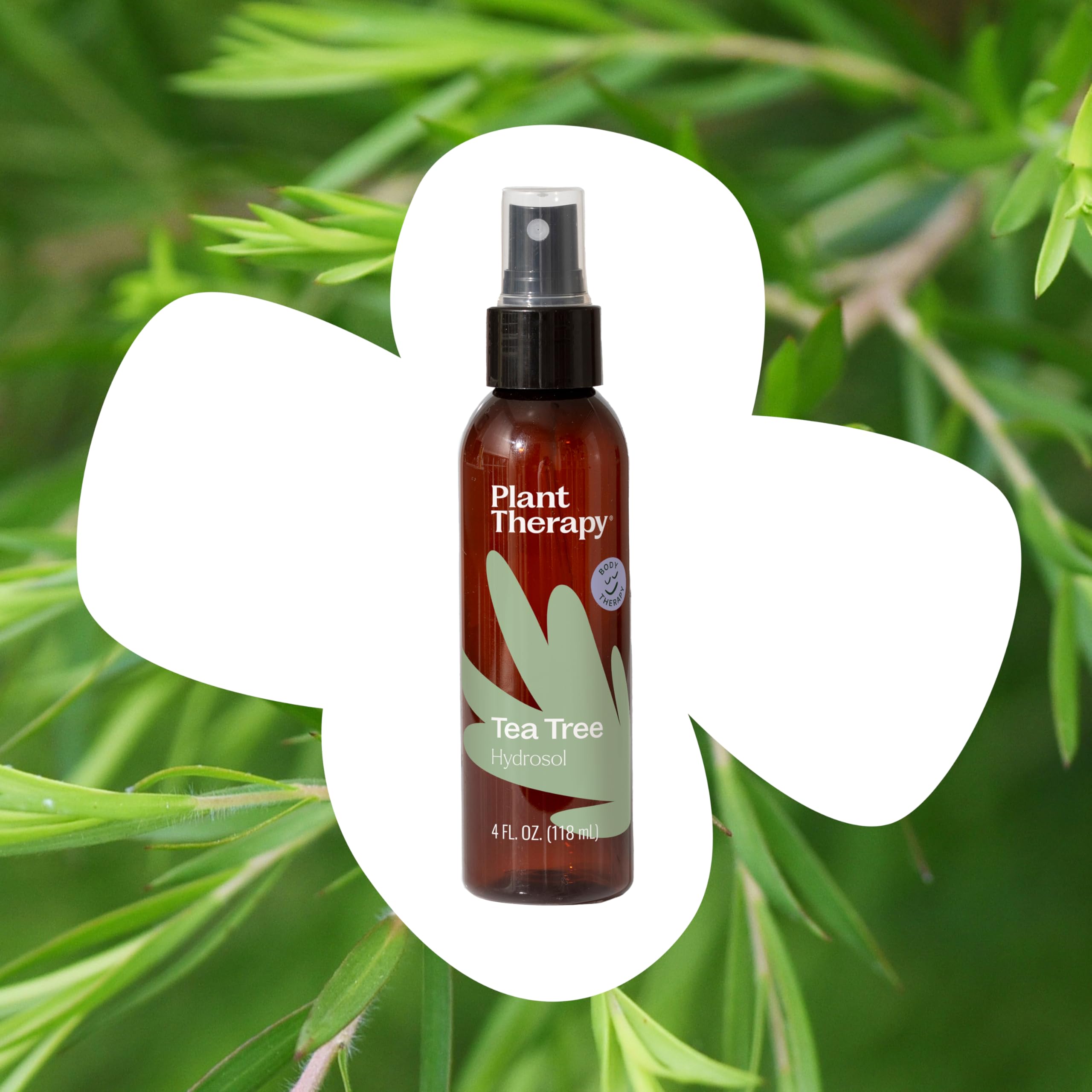 Plant Therapy Hydrolat d'arbre à thé, application visage au coton apaise les irritations.