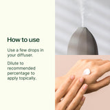 Plant Therapy Eucalyptus : senteur rafraîchissante pour respiration et énergie.