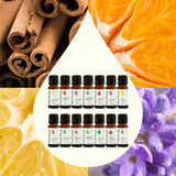 Plant Therapy Menthe-poivrée : arôme tonifiant pour le matin et le diffuseur.