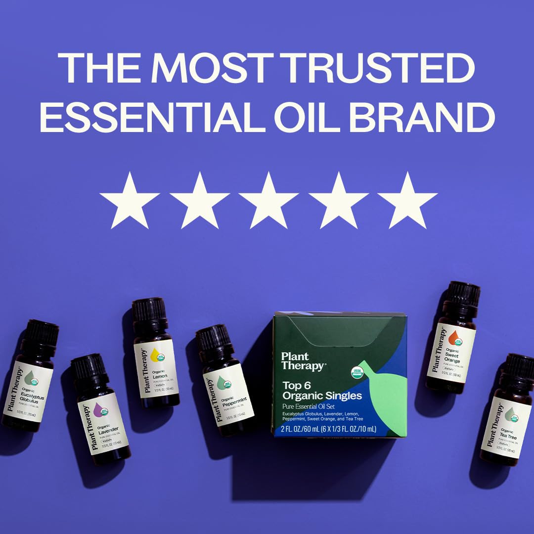 Plant Therapy Top 6 Eucalyptus – flacon revitalisant pour énergie et clarté