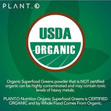 Fruits riches en antioxydants dans Plant.O Nutrition, potentiel soutien immunitaire.