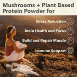 Adaptogènes ashwagandha et tulsi intégrés à PlantFusion.