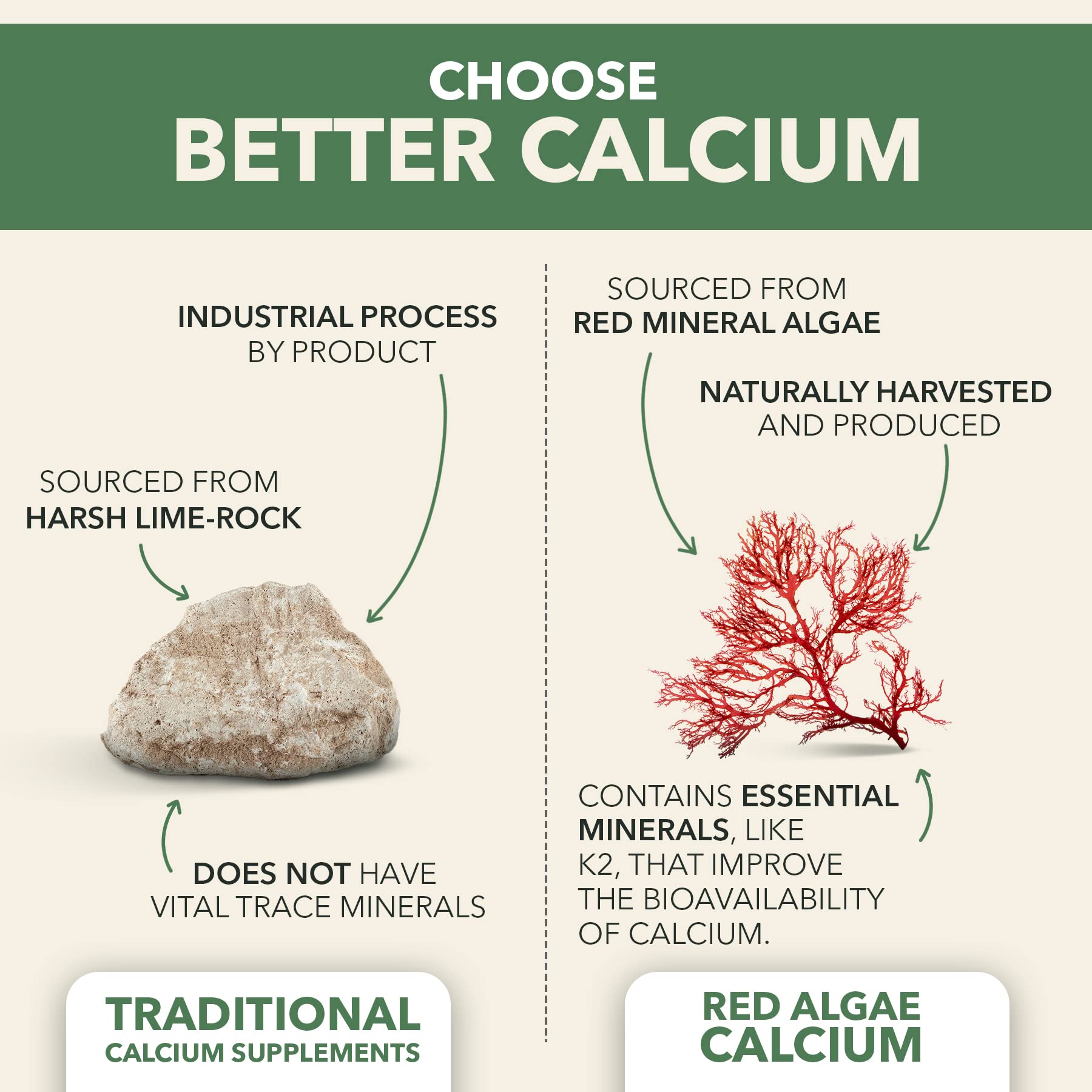 PlantFusion Calcium: gélules faciles à avaler pour une supplémentation végétale quotidienne.