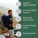 PlantFusion multivitamine homme – étiquette organique et ingrédients naturels