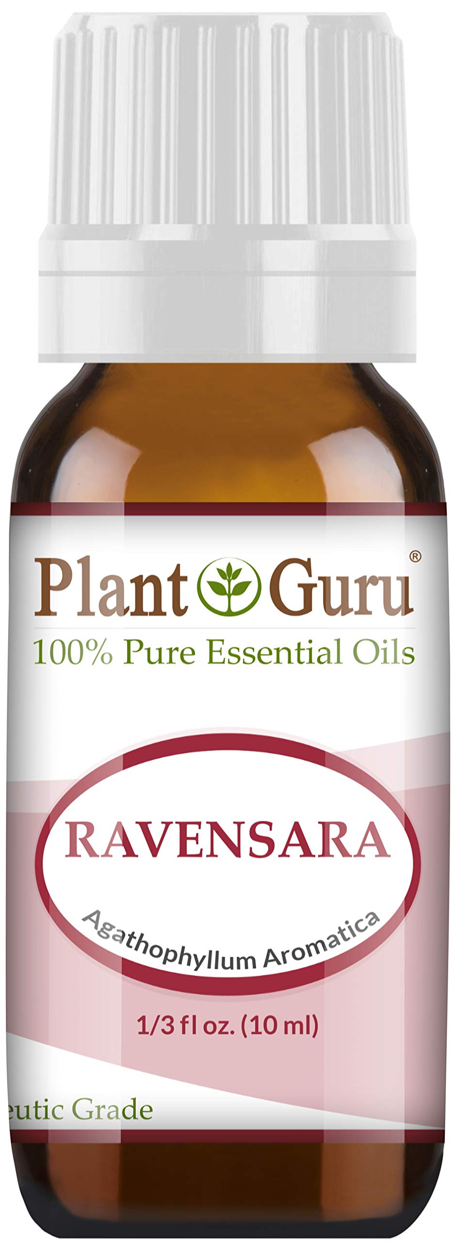 Plant Guru Ravensara: bouteille 10 ml, parfum camphoré pour l'aromathérapie et relaxation.