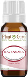 Plant Guru Ravensara: bouteille 10 ml, parfum camphoré pour l'aromathérapie et relaxation.