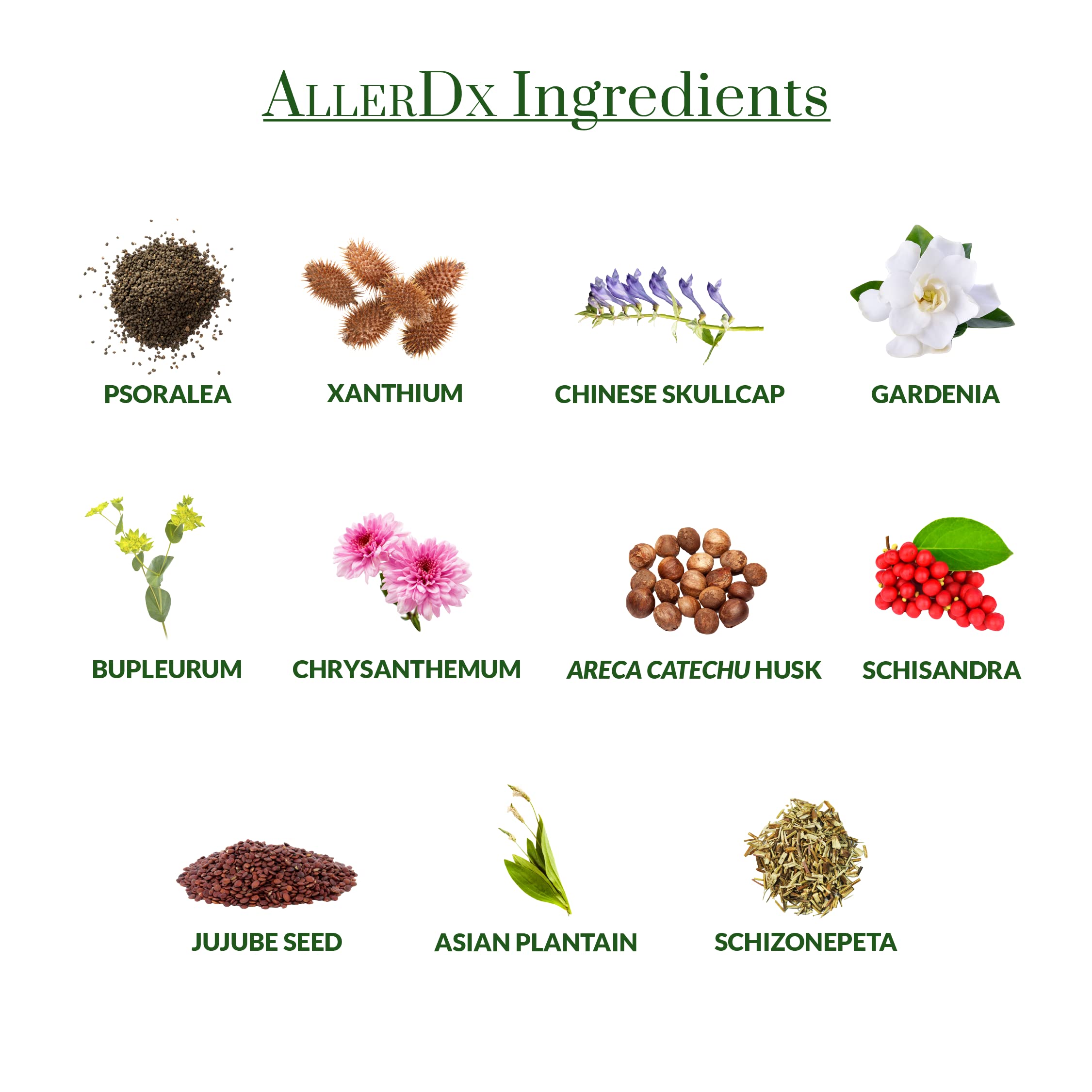 Plantiva AllerDx - emballage durable reflétant l’engagement qualité et durabilité