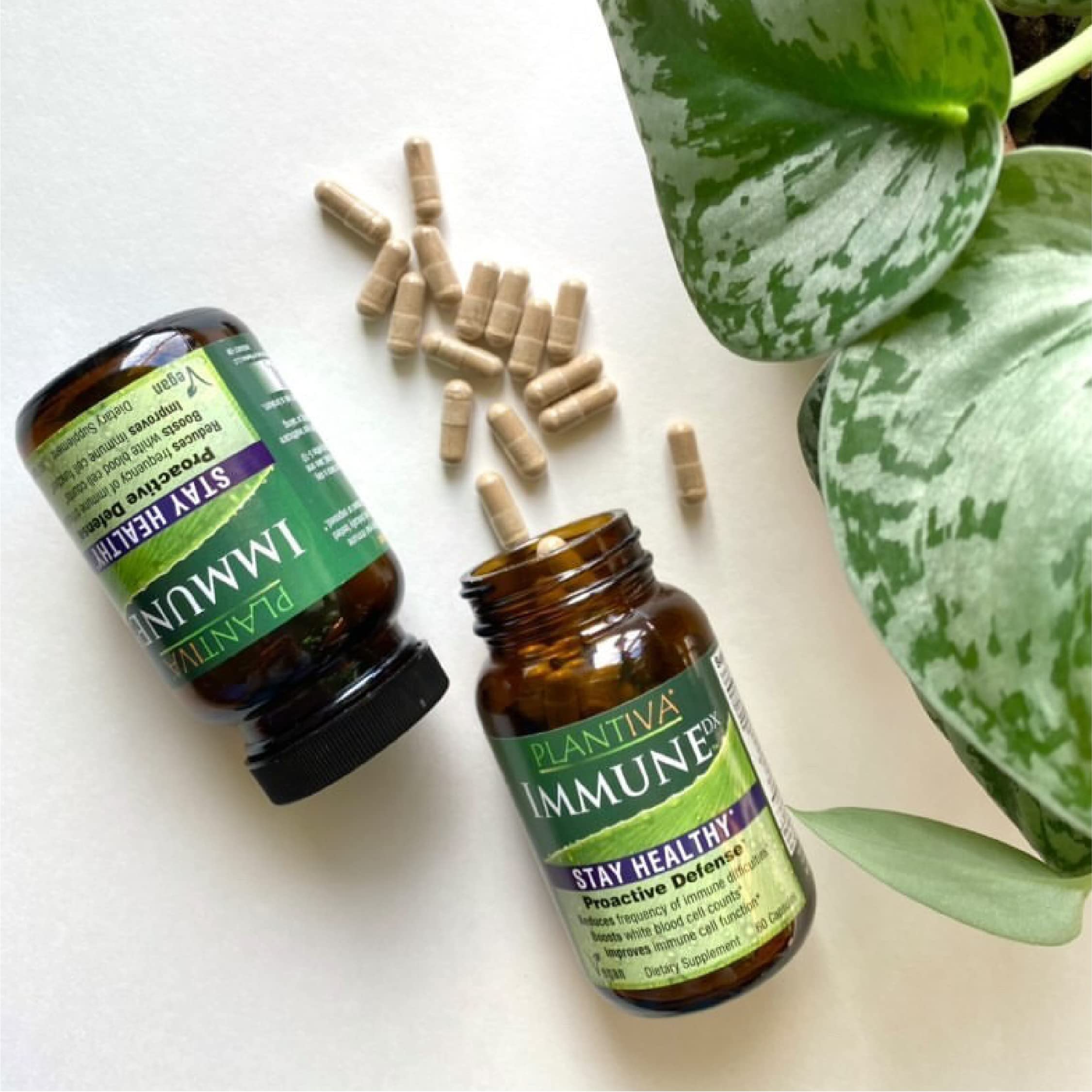 Plantiva ImmuneDx: usage quotidien favorisant la résistance face au stress.