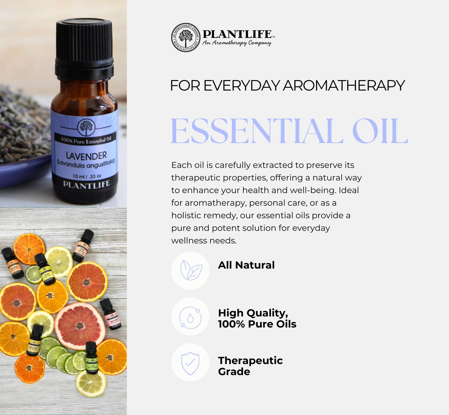 Plantlife huile essentielle Laurier — arôme camphoré et herbaceux