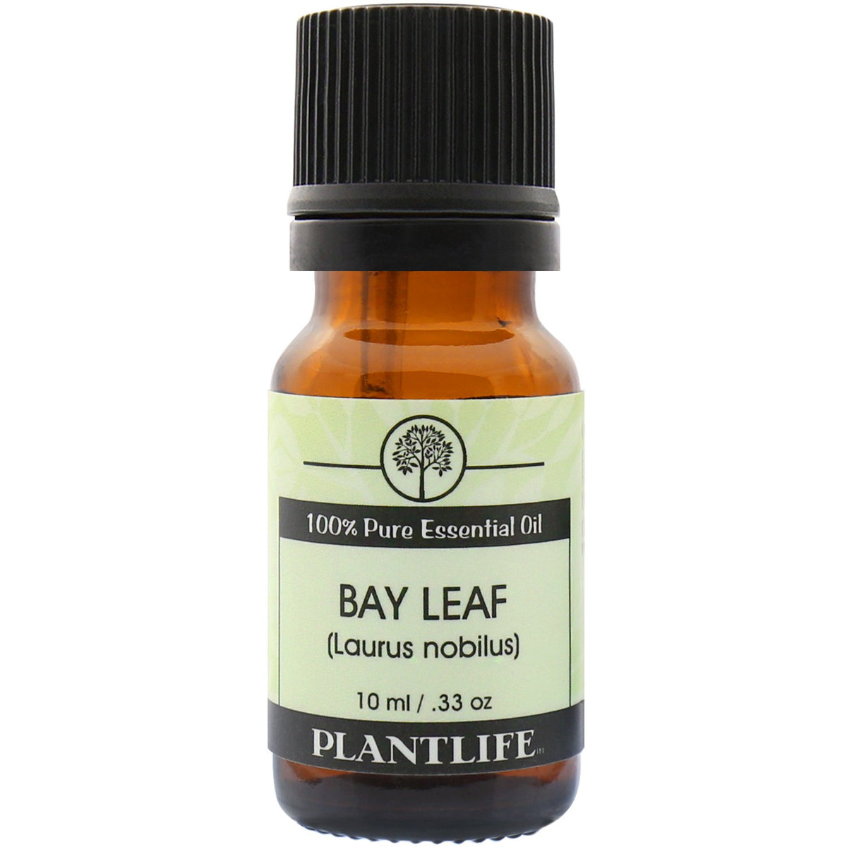 Plantlife huile essentielle Laurier — bouteille 10 ml prête à l'aromathérapie