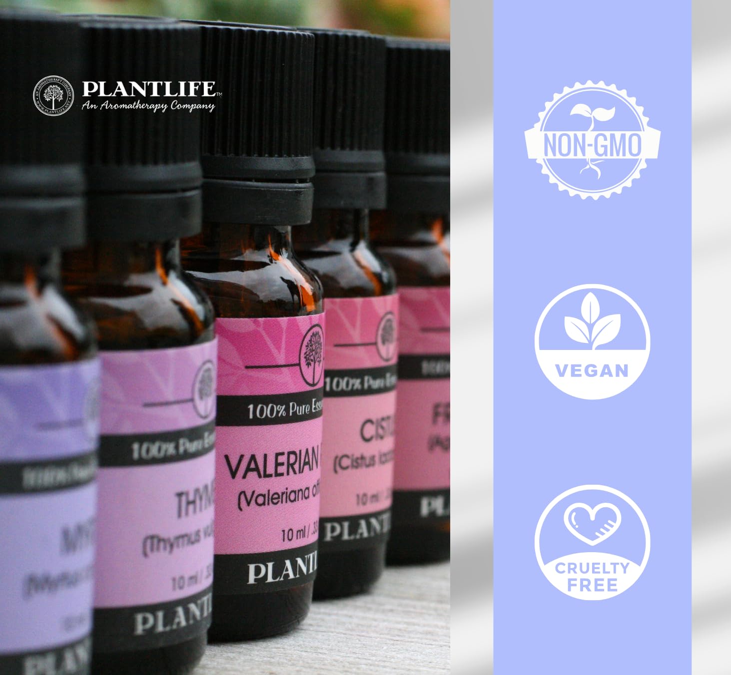 Plantlife huile essentielle Laurier — utilisation en massage diluée