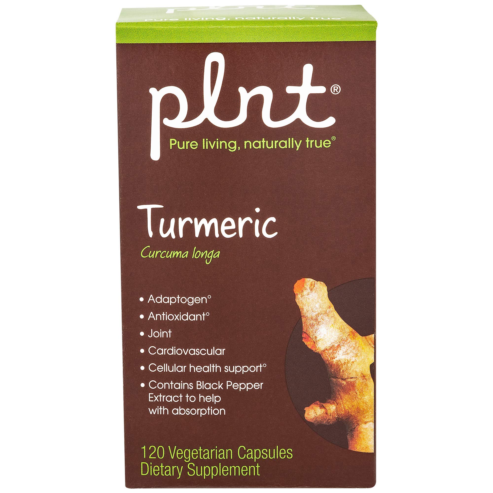 PLNT Turmeric: bouteille de capsules prête à la prise quotidienne et bénéfices potentiels.