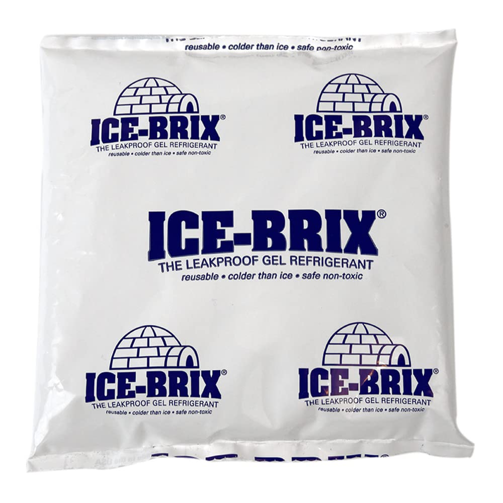 Polar Tech Ice-Brix sac réfrigérant étanche, maintien des aliments frais en déplacement