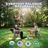 Pomona Wellness Super Greens faciles à emporter lors de déplacements.