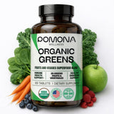 Pomona Wellness Super Greens tablettes pour usage quotidien faciles à intégrer dans votre routine.
