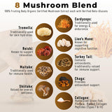 PowderVitamin mélange huit champignons soutient énergie et concentration potentielle.