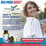 Power By Naturals Sea Moss Avancé acide fulvique favorise l’absorption des nutriments.