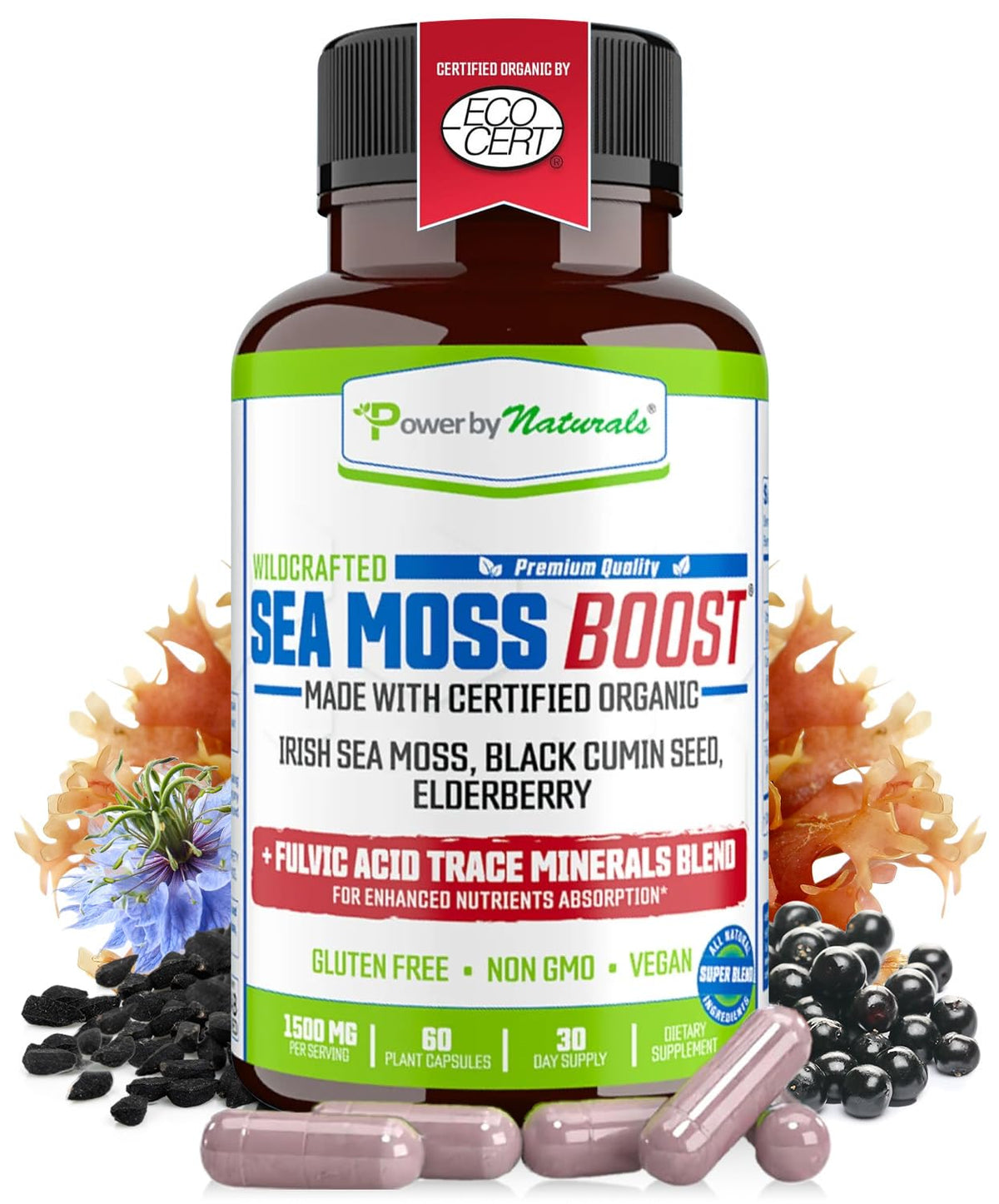Power By Naturals Sea Moss Avancé emballage pratique pour démarrer votre routine bien-être.