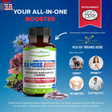 Power By Naturals Sea Moss Avancé gélules faciles à avaler au quotidien.